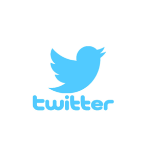 Twitter Website Integration